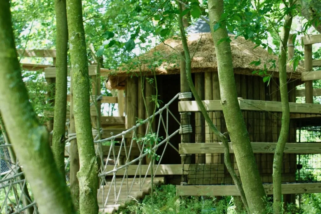 Log-Rope-Bridge-by-Treehouse-Life-Ltd-with-woodland-adventure-treehouse