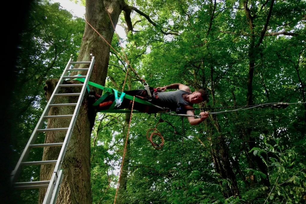 Tree arborist working in a tree laying horizontal to install a Nest Swing.