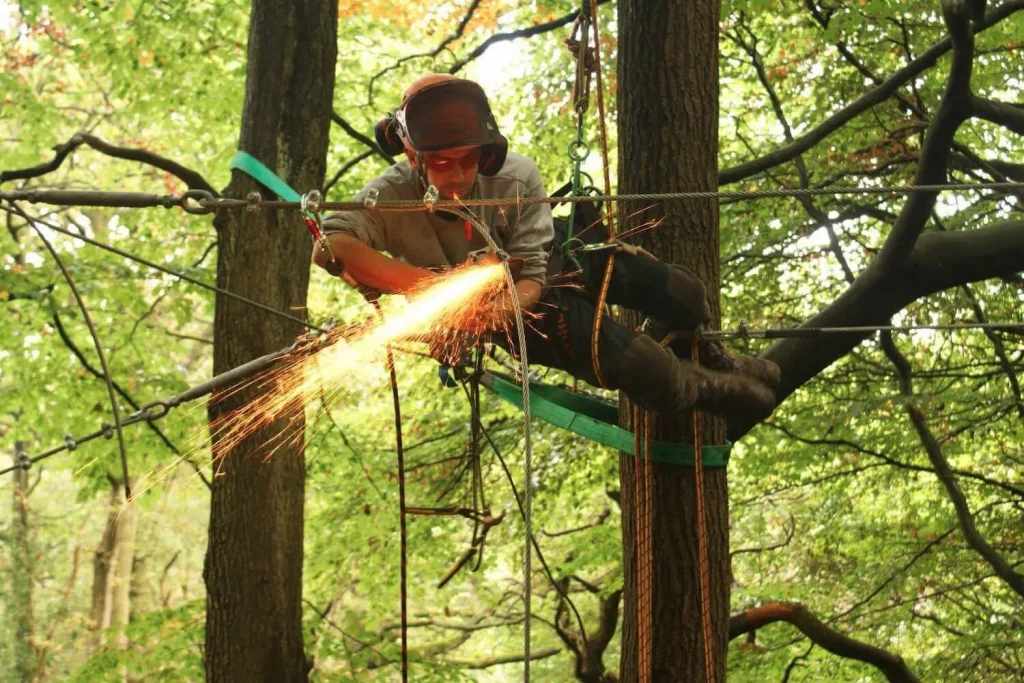 Tree arborist working in a tree suspended on ropes with boring flame from grinding tool