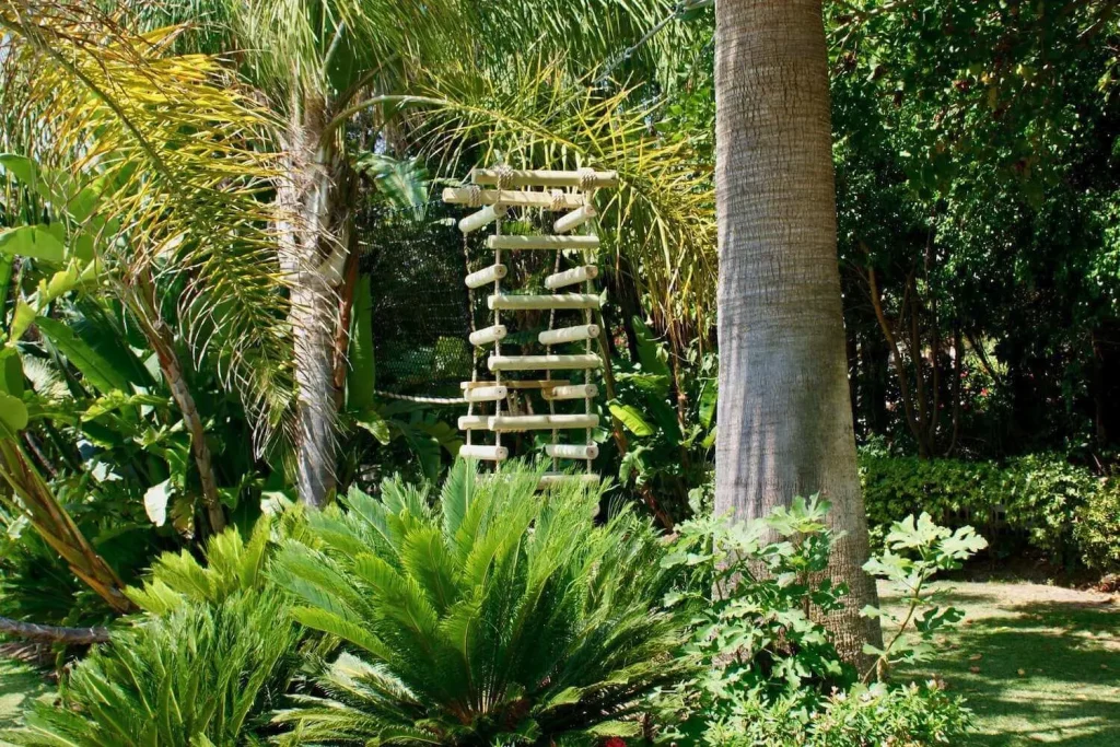 rainforest+rope+ladder 4-sided Rope Ladder suspended from a Treetop Walkway between two palm trees