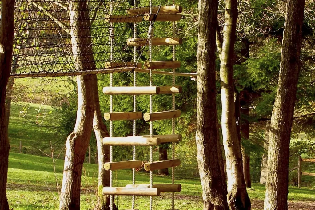 rope+ladder