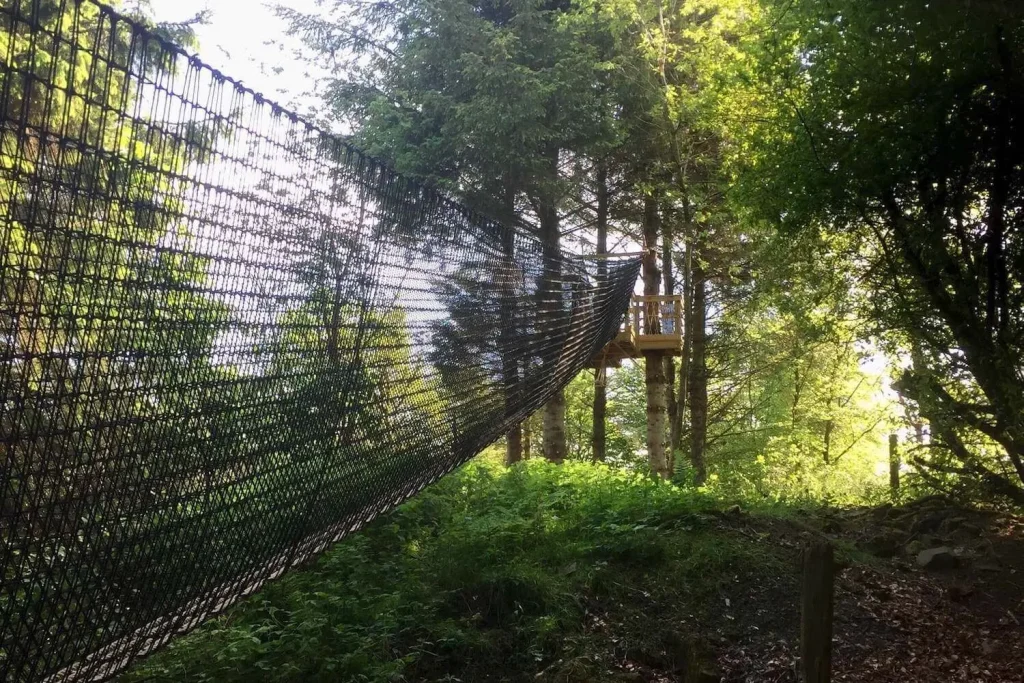 Treetop Walkway leading through the trees to a suspended tree platform deck in the trees