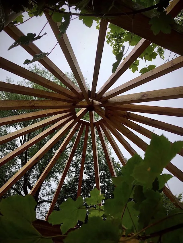 treehousedomestructure treehouse dome structure