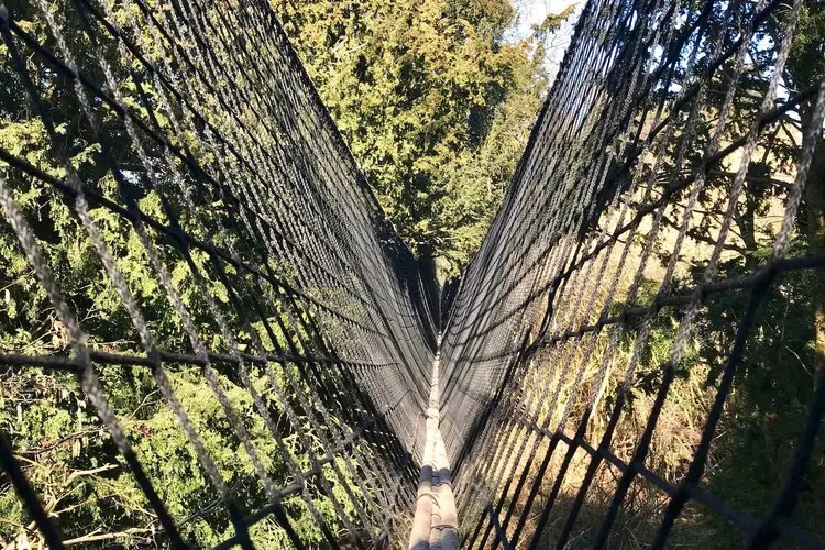 V shaped safety net and structural ropes in a Treetop Walkway
