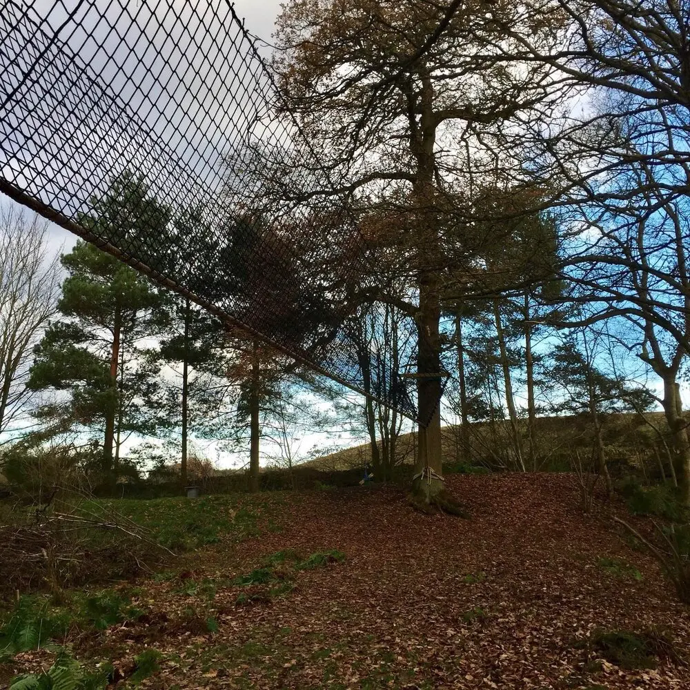 treetop+walkway+bridge