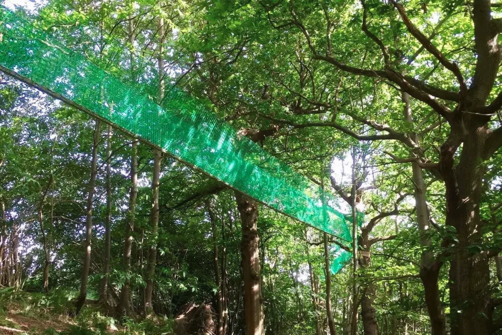 Long Treetop Walkway suspended between trees in woodland