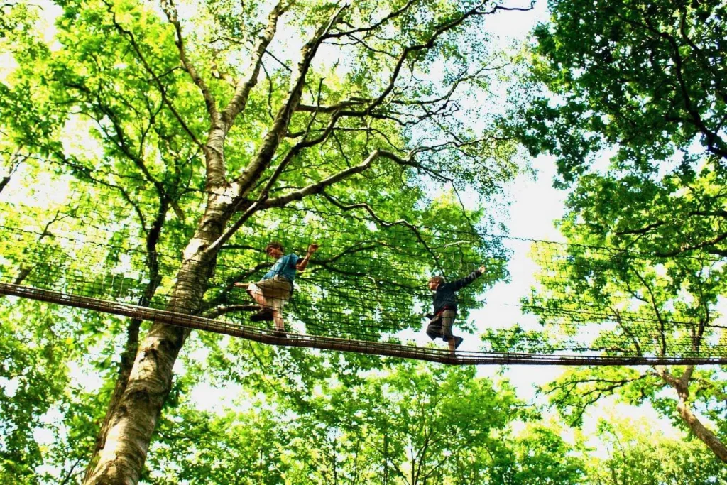 Two boys walking in a Treetop Walkway in the tree canopy