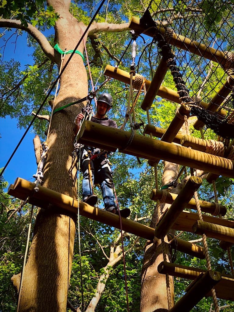 A man building a treehouse framework halfway up a large tall tree in Surrey