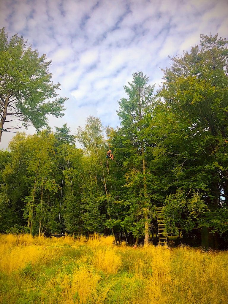 A person is perched high atop a ladder amidst the dense greenery of a forest, touching the sky, with lush golden grass below.Swinging high among the trees art an Aerial play park installation by Treehouse Life, UK.