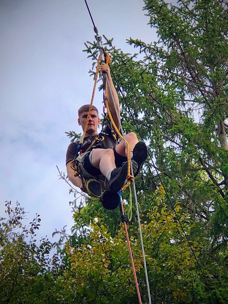 A man descending on a rope and harness from high up in a tall tree