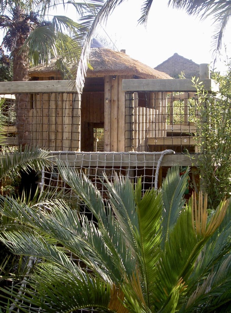 A family garden treehouse framed by palm trees.