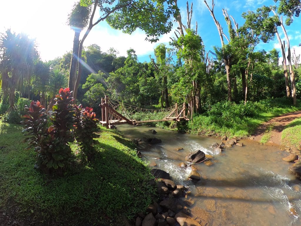 A Rope Bridge across a river on a private resort in Hawaii, surrounded by blue sky and lush green vegetation.