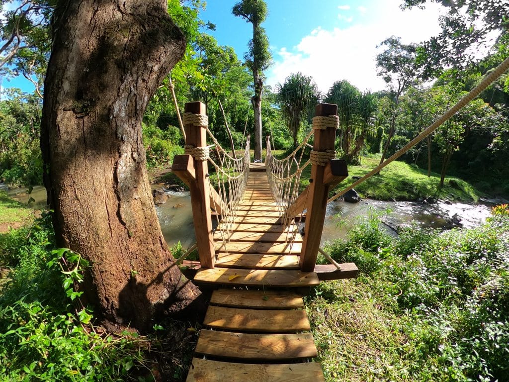 Rope Bridge spanning of a fast running river, set beside a tree and providing a walking access for visitors to a spa in Kauai, Hawaii